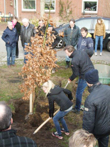 Anne Langeler en wethouder Gerard Nijland planten samen een beuk op het erf van de familie Langeler aan de Bosweg op de Haart.